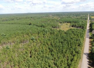 40 acres of recreational land in the Town of Monroe, Adams County