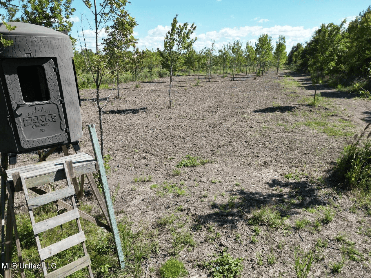 Tensas Parish Land Near Lake St. John – 80 Acres