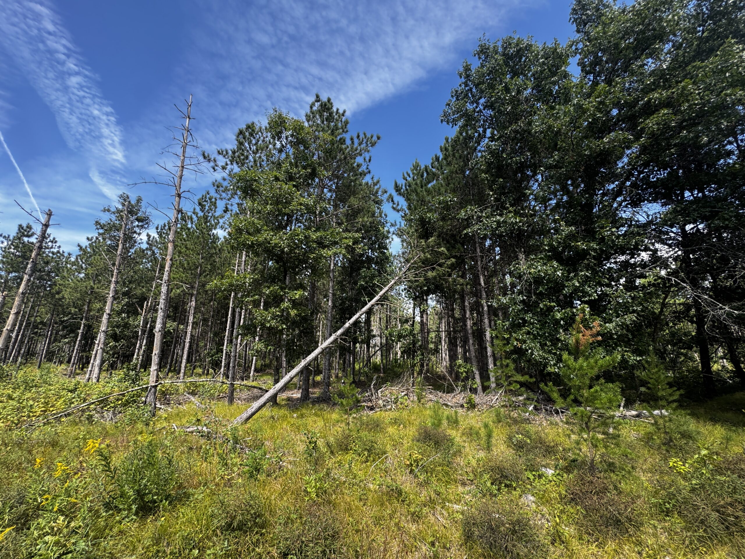 40-acre corner parcel in the Town of Monroe