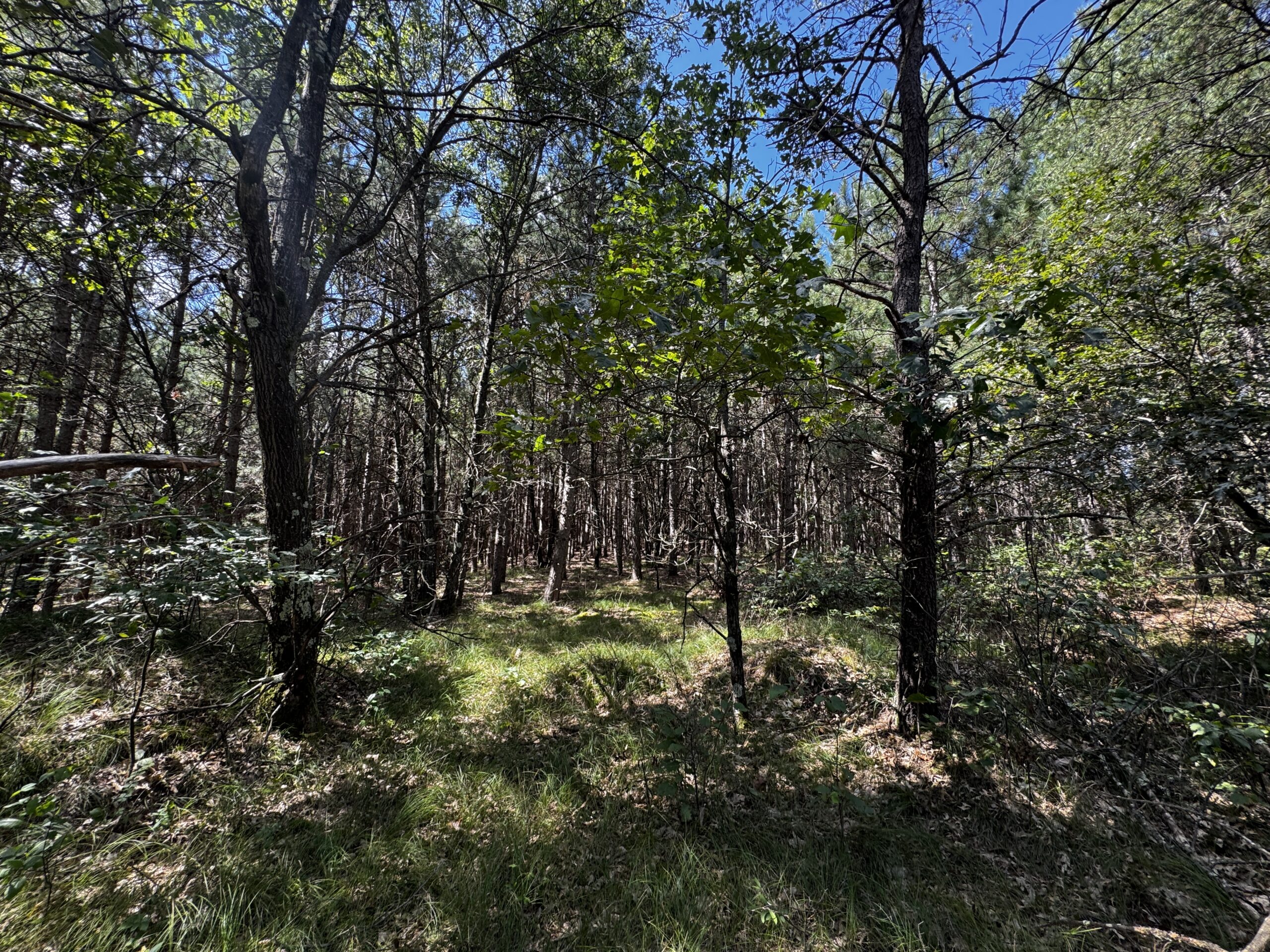 40-acre corner parcel in the Town of Big Flats, Adams County