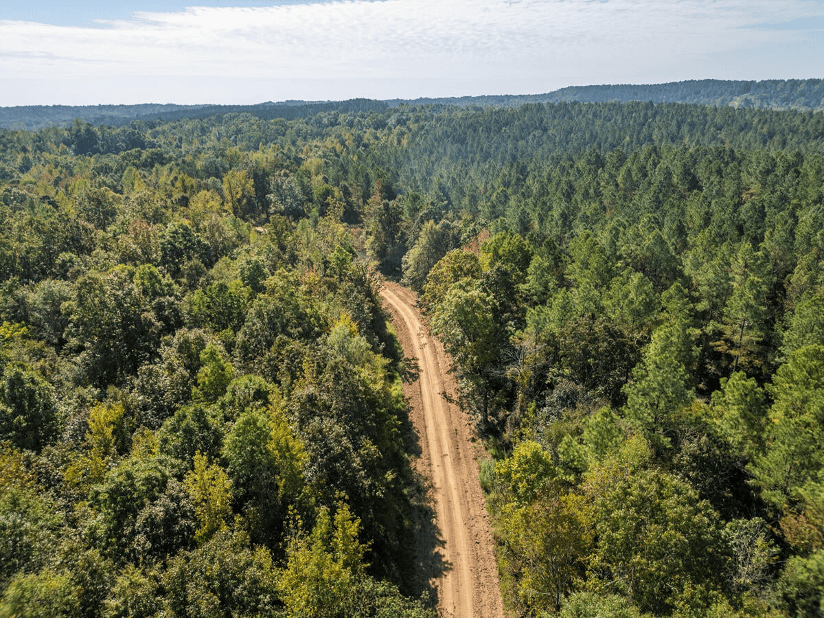650 Acres Timberland and Lake Site Calhoun County MS