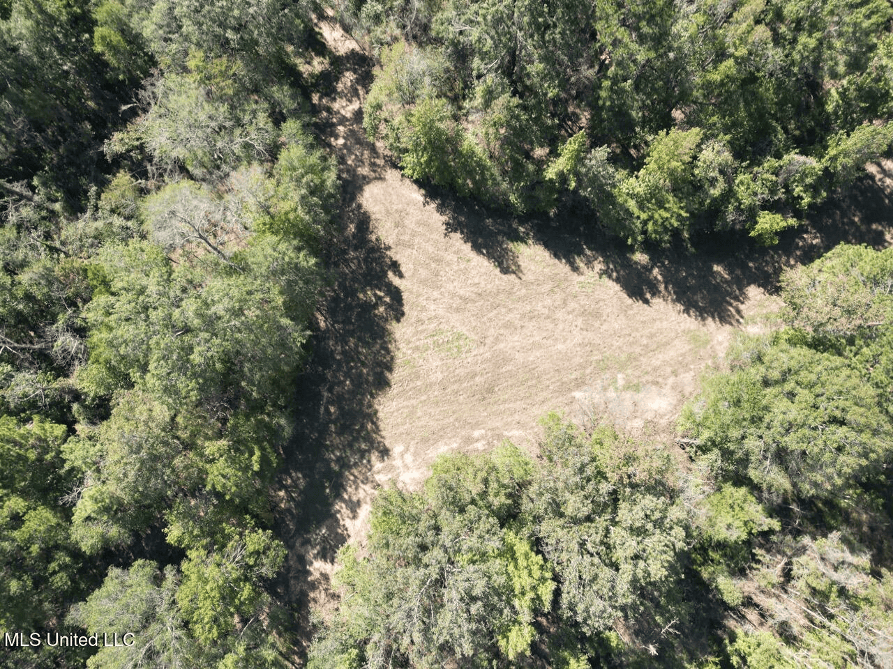 Hunting Land in Claiborne County, MS – The Sawmill 98