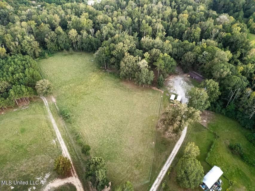 Magnolia Wilds – Premier Louisiana Investment Property for Sale