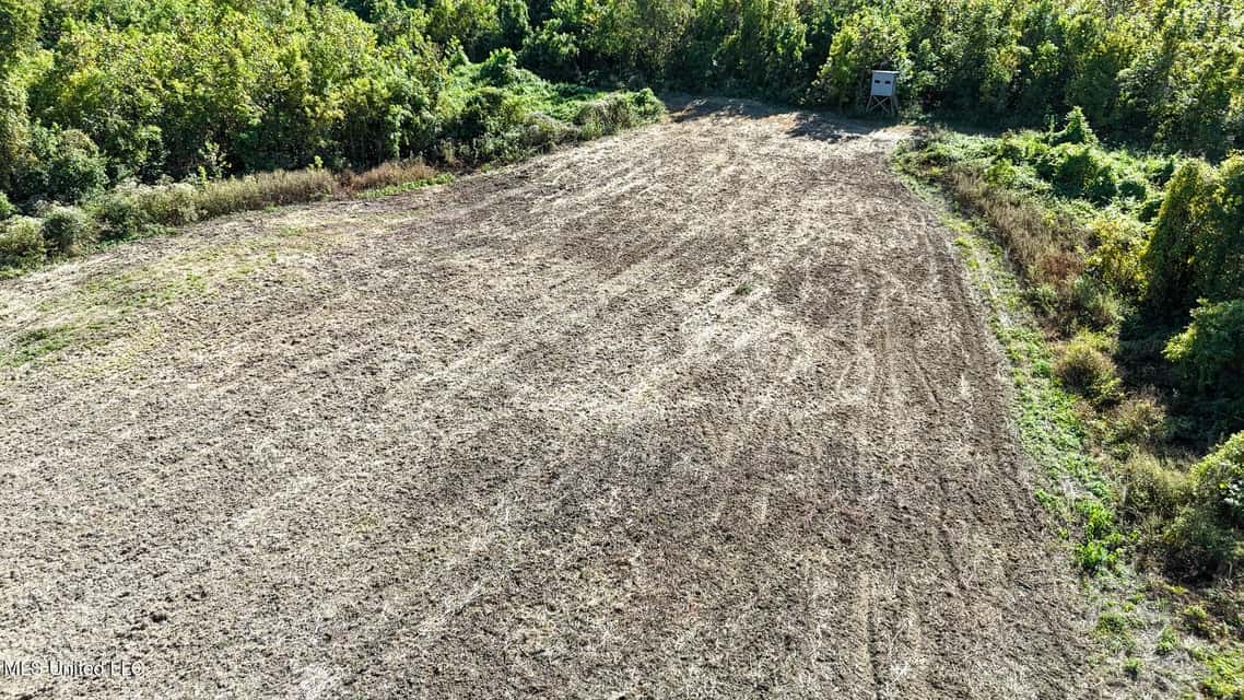 Yazoo River Hunting Tract 78.16 Acres