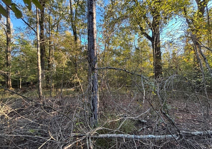 28 Acres for Sale South Jackson, Hinds County, MS