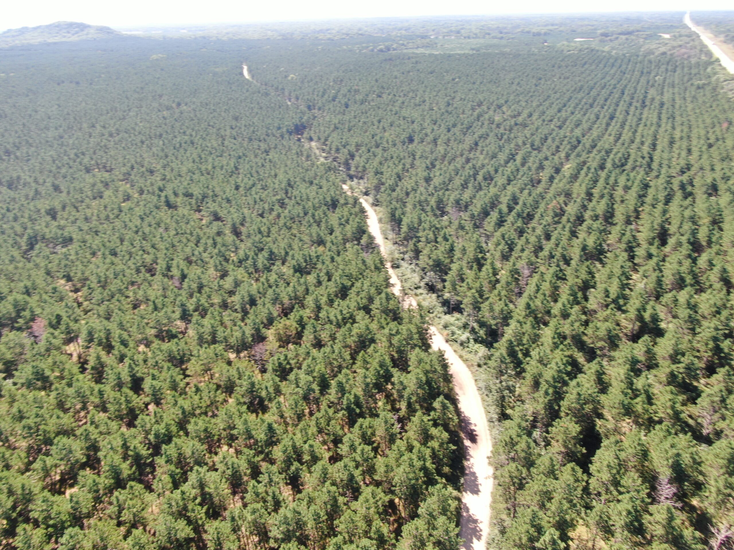 77-acre timber tract in the Town of Rome