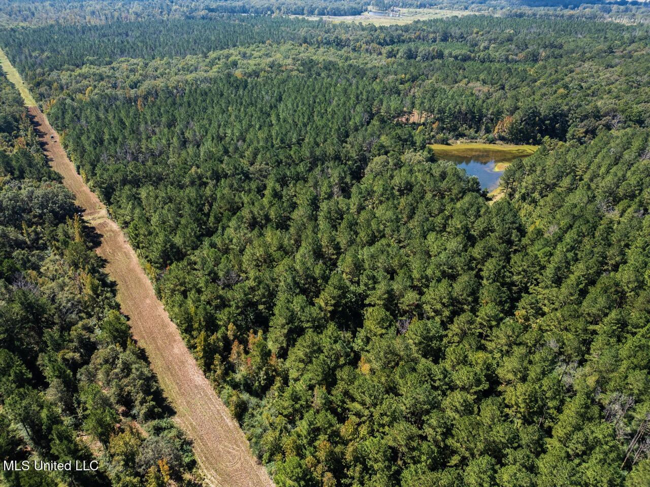 203 Acres in Smithdale MS – Turnkey Hunting Retreat