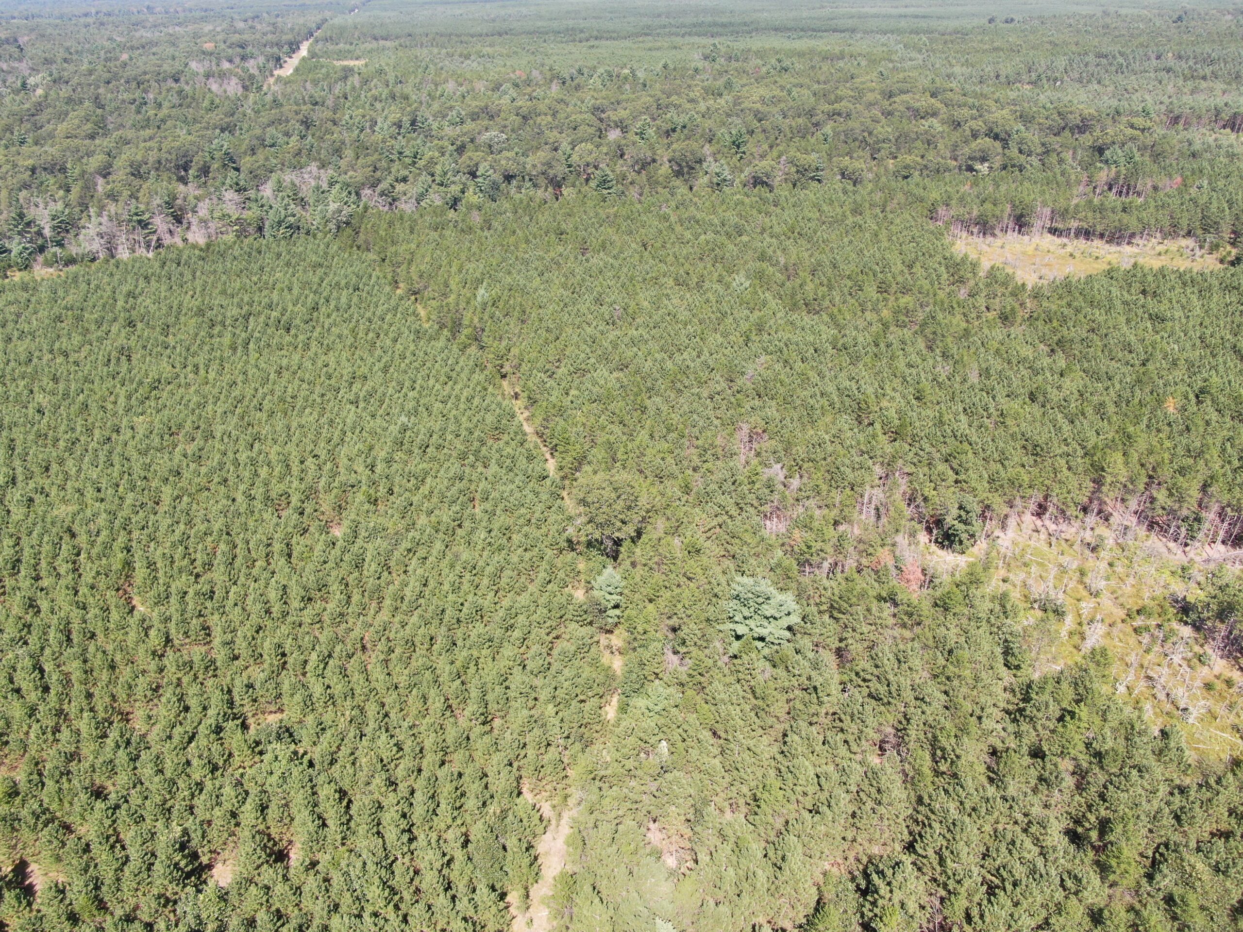 40 acres of recreational land in the Town of Monroe, Adams County