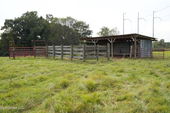 43 Acres of Beautiful Pasture with a Dream Farmhouse