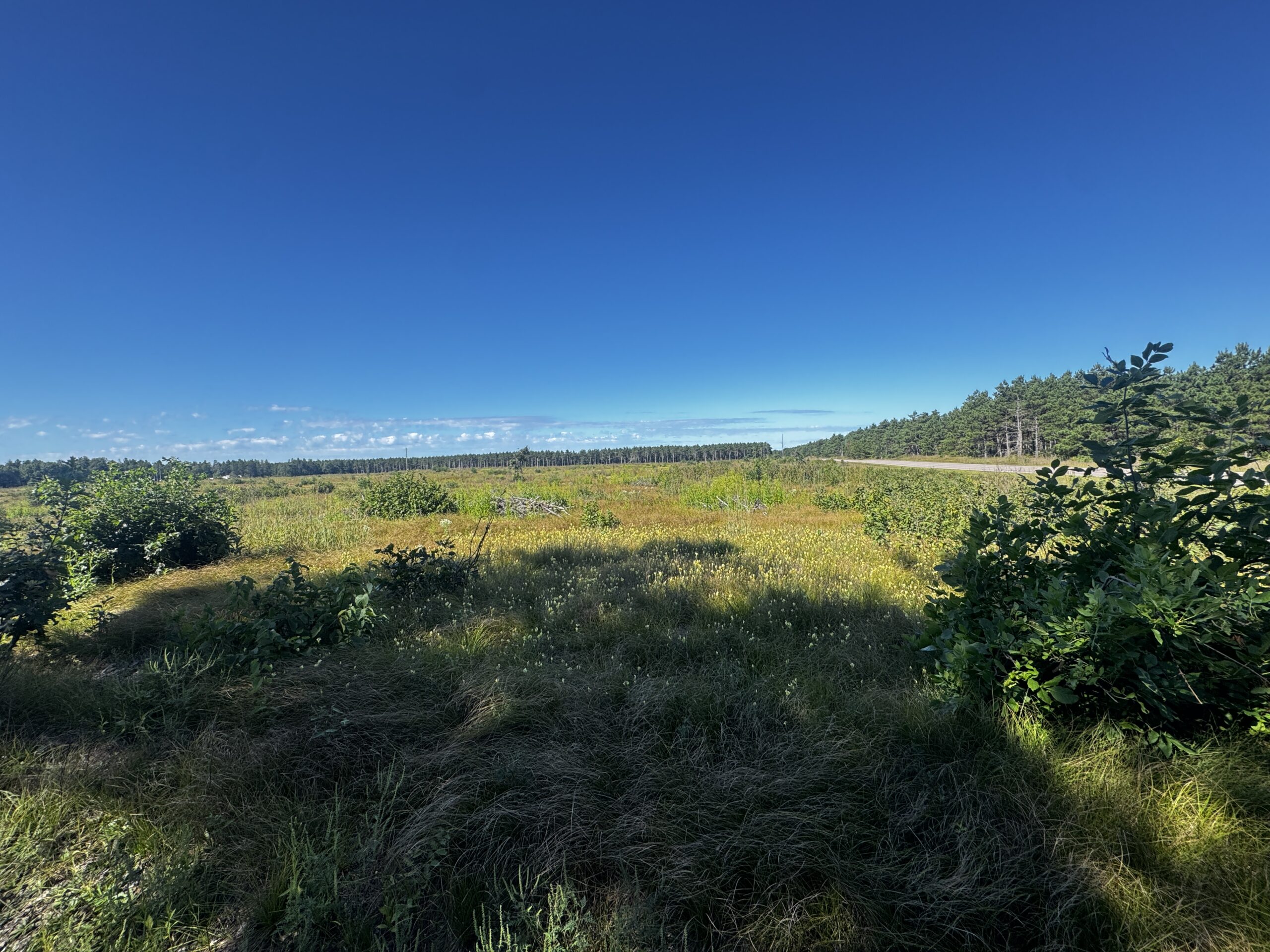 40-acre parcel in the Town of Rome, Adams County
