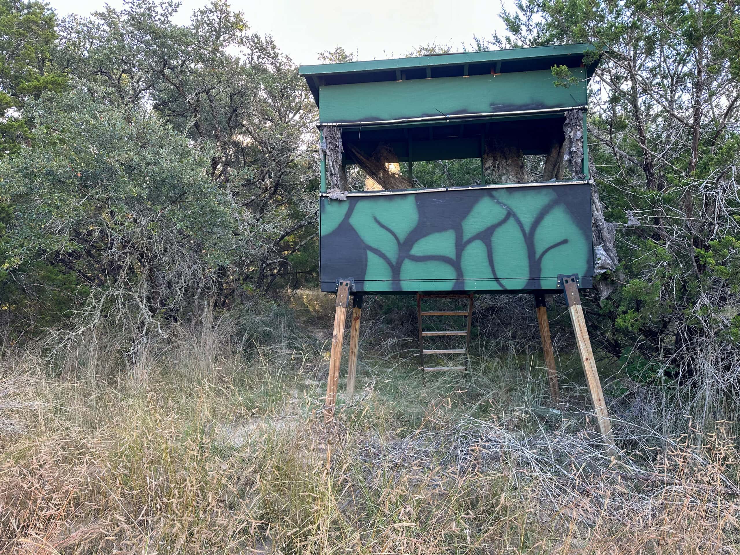 44.574 Acres of Central Texas Hunting Land for Sale