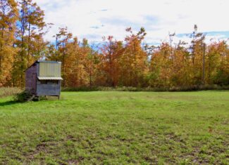 33+ Acre Hunting Camp with Cabin Near Gaylanta Lake, Atlanta MI