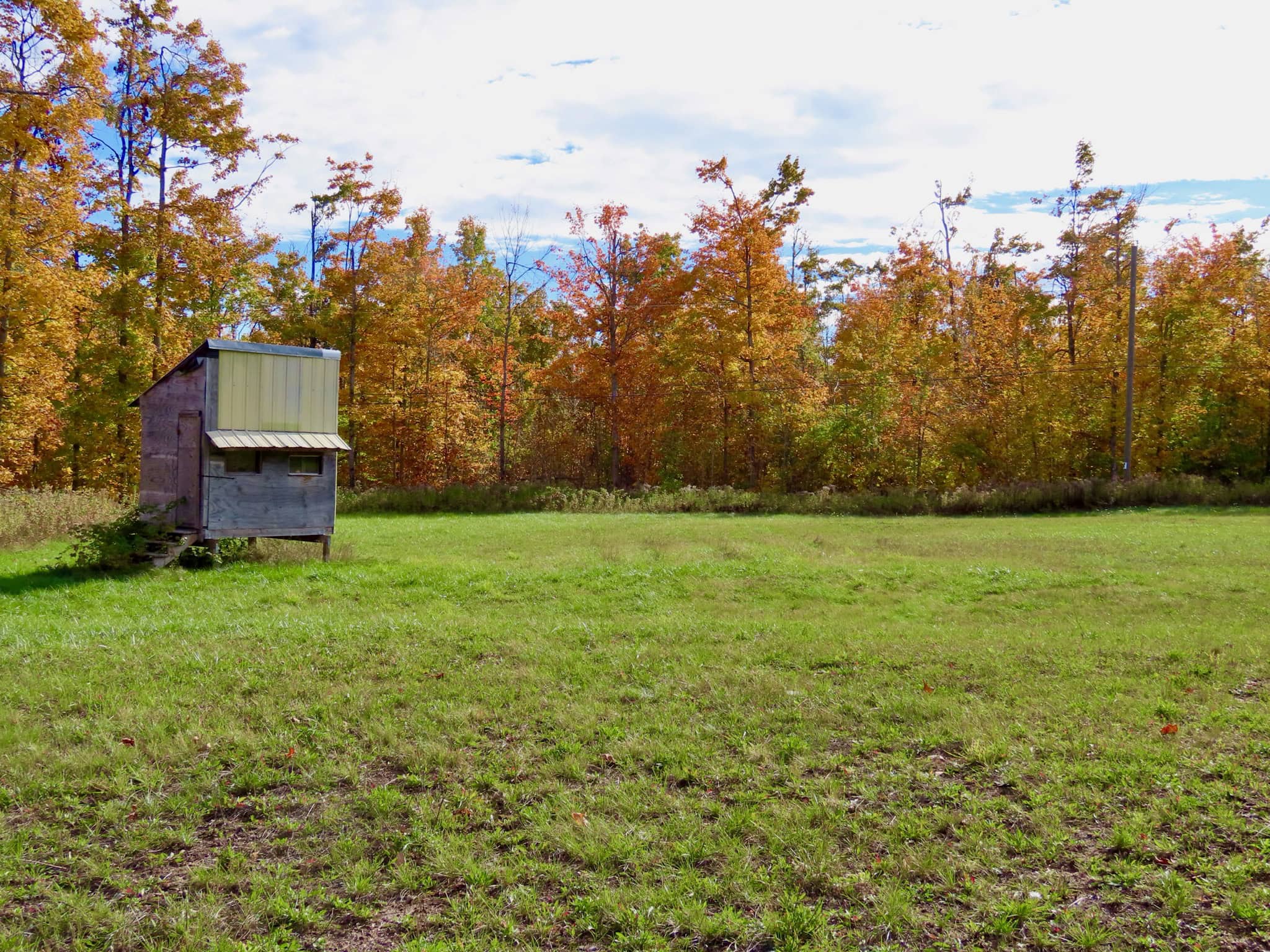 33+ Acre Hunting Camp with Cabin Near Gaylanta Lake, Atlanta MI