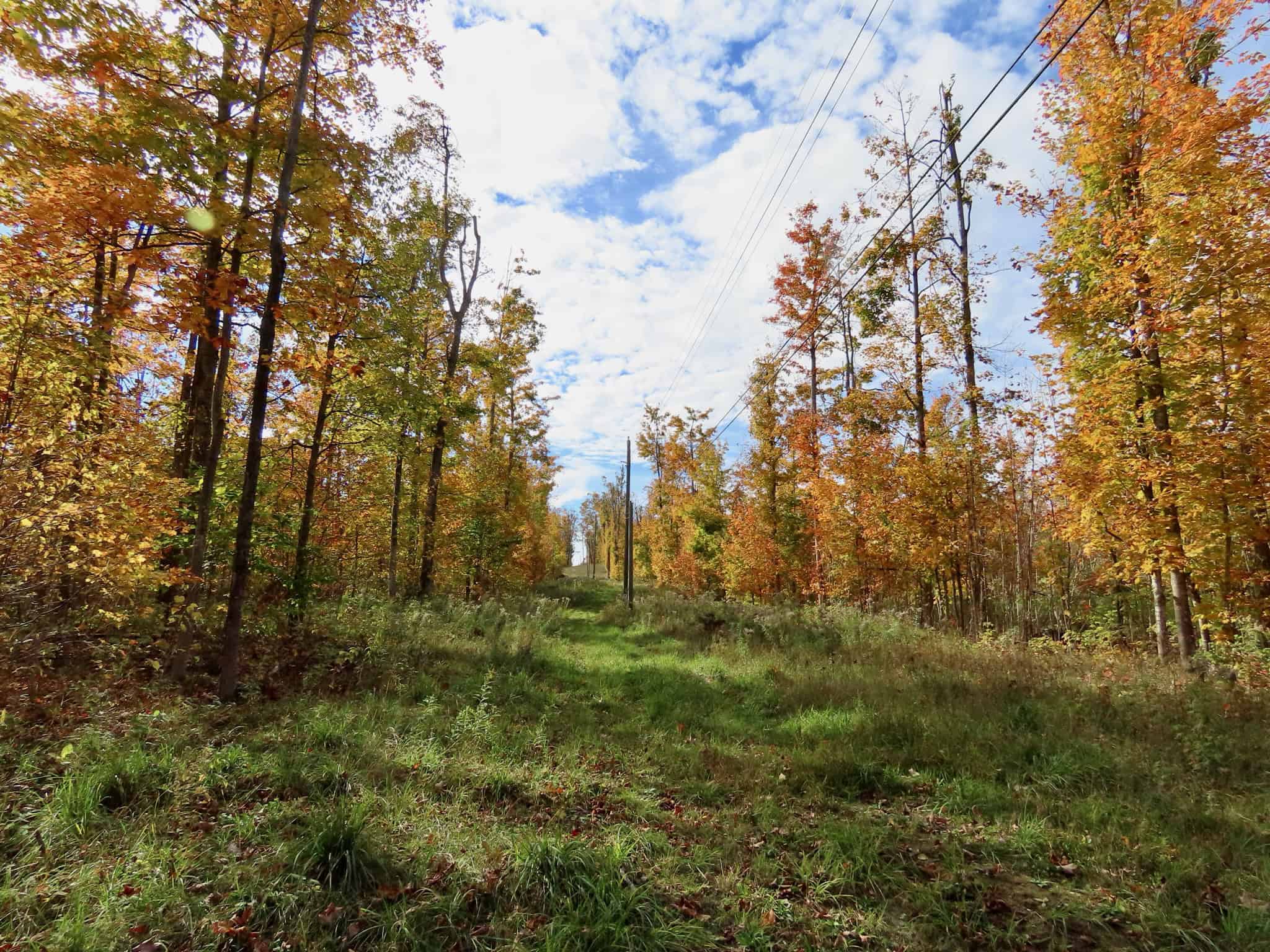 33+ Acre Hunting Camp with Cabin Near Gaylanta Lake, Atlanta MI