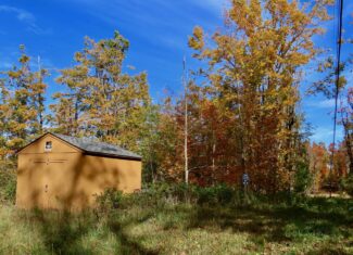 33+ Acre Hunting Camp with Cabin Near Gaylanta Lake, Atlanta MI