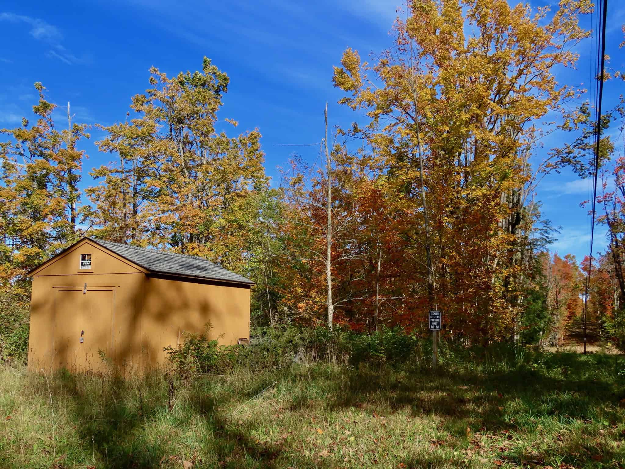 33+ Acre Hunting Camp with Cabin Near Gaylanta Lake, Atlanta MI