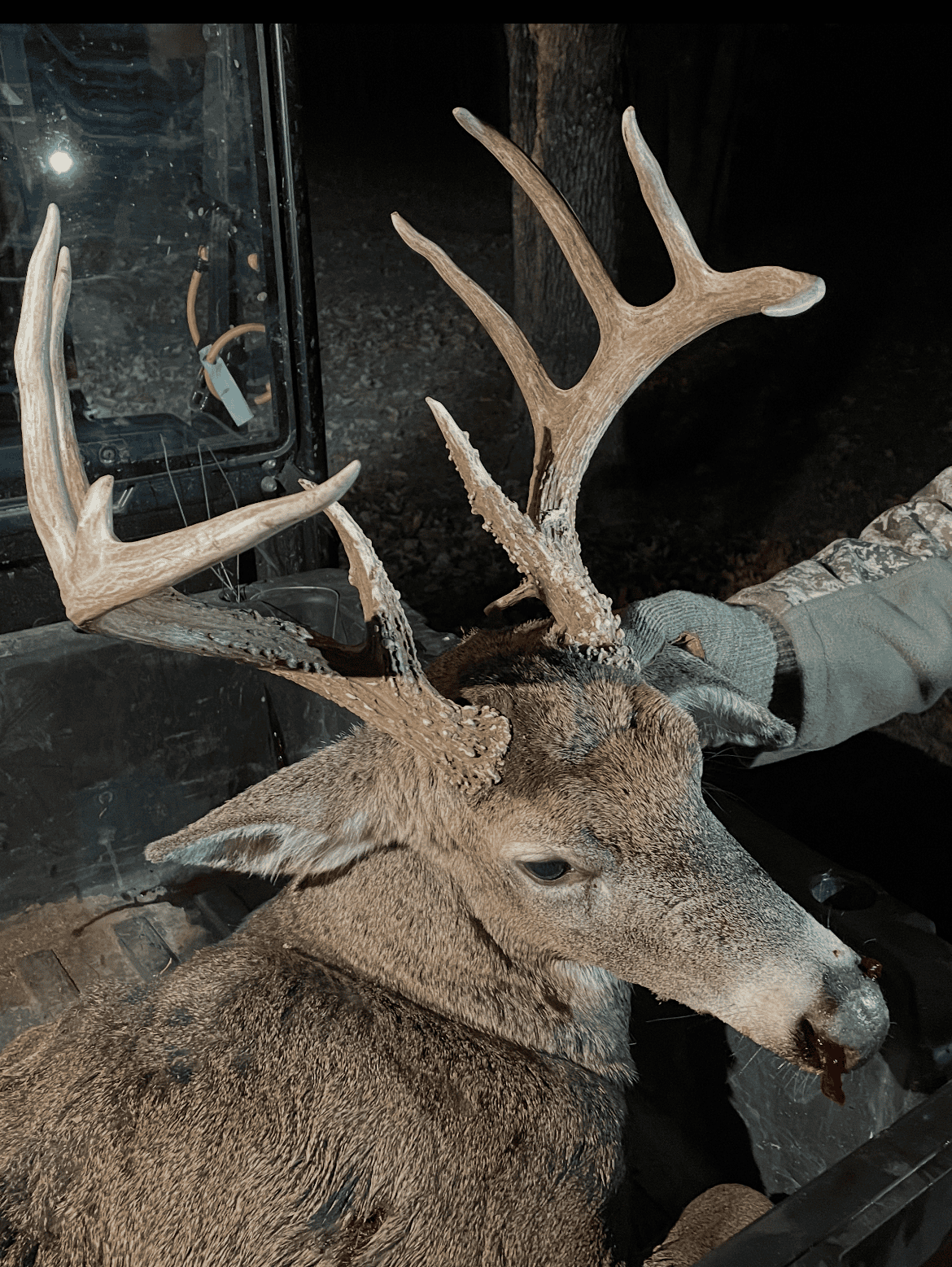 Country Home with Hunting Land – Hickory County