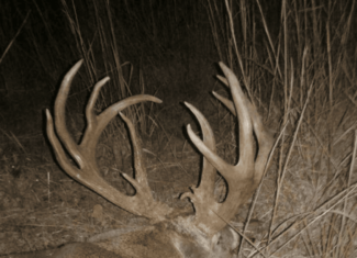 Country Home with Hunting Land – Hickory County