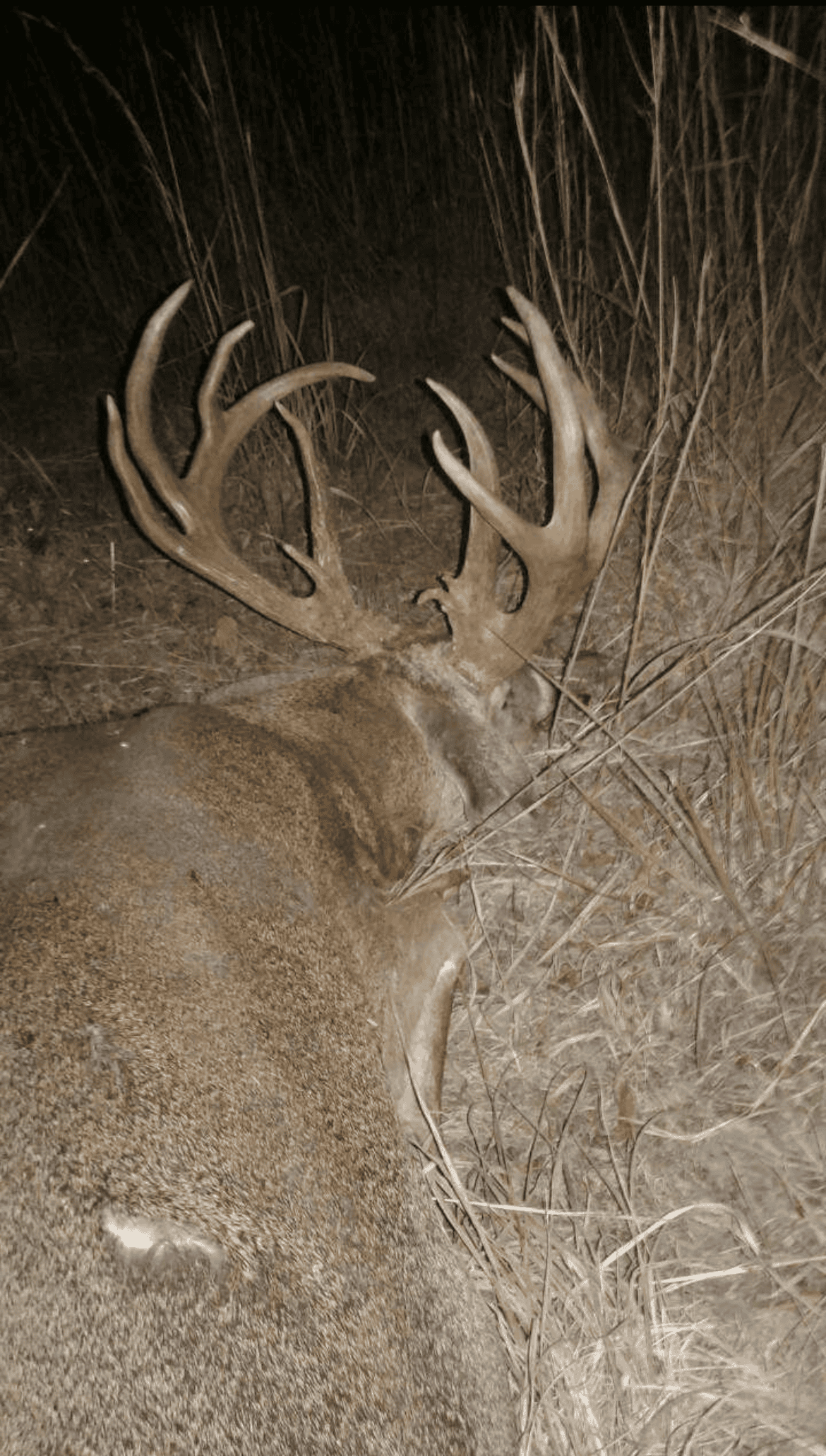 Country Home with Hunting Land – Hickory County