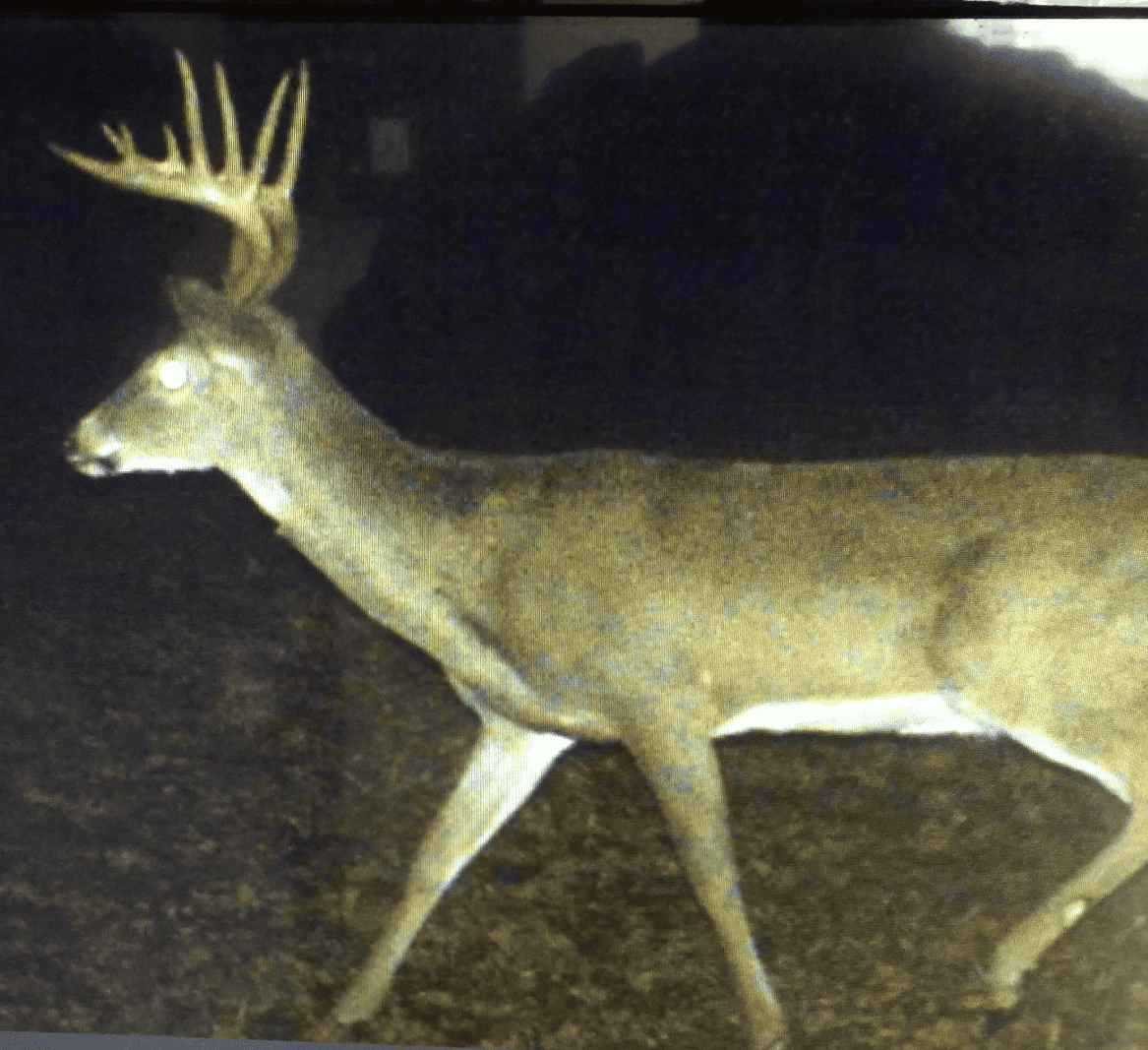 Country Home with Hunting Land – Hickory County