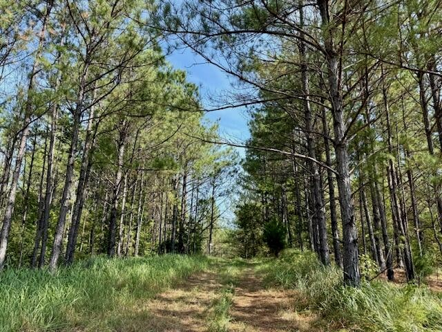 Mississippi Land For Sale With A Creek
