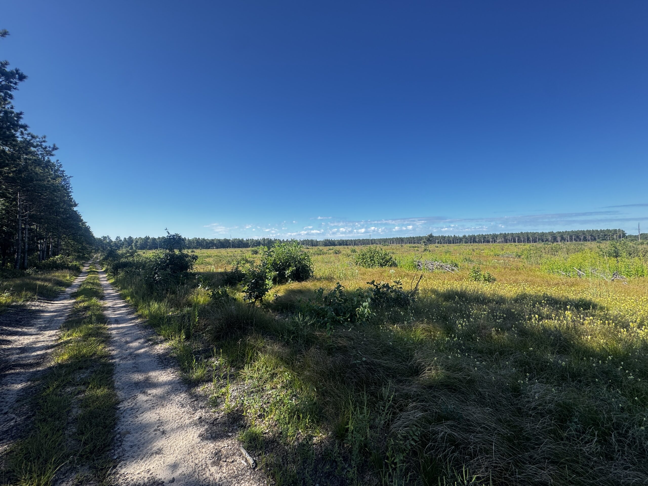 40-acre parcel in the Town of Rome, Adams County