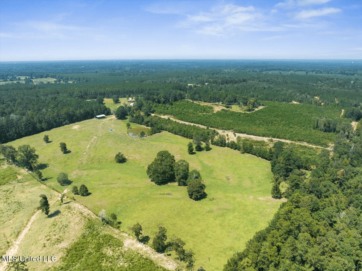 Rolling Hills Pastureland and Wooded land for sale