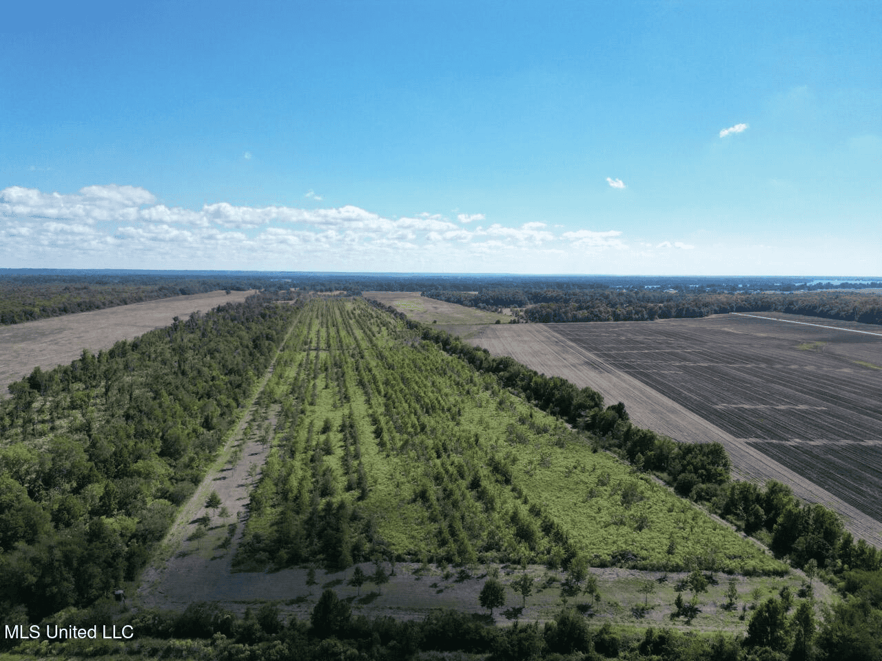 Tensas Parish Land Near Lake St. John – 80 Acres