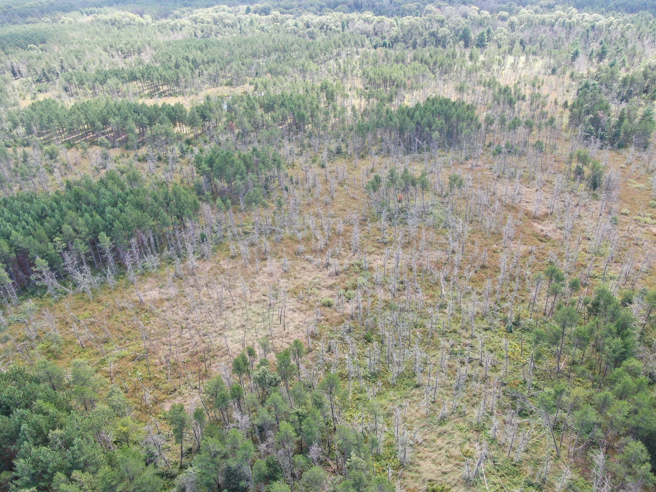 40-acre corner parcel in the Town of Monroe