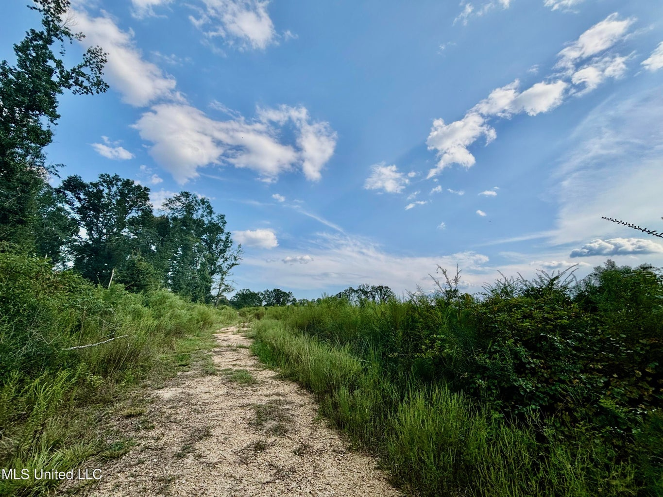 80 Acres in Walthall County