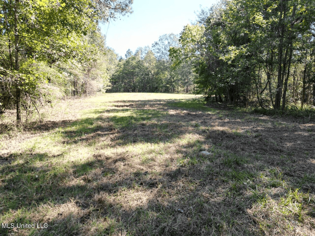 Hunting Land in Claiborne County, MS – The Sawmill 98