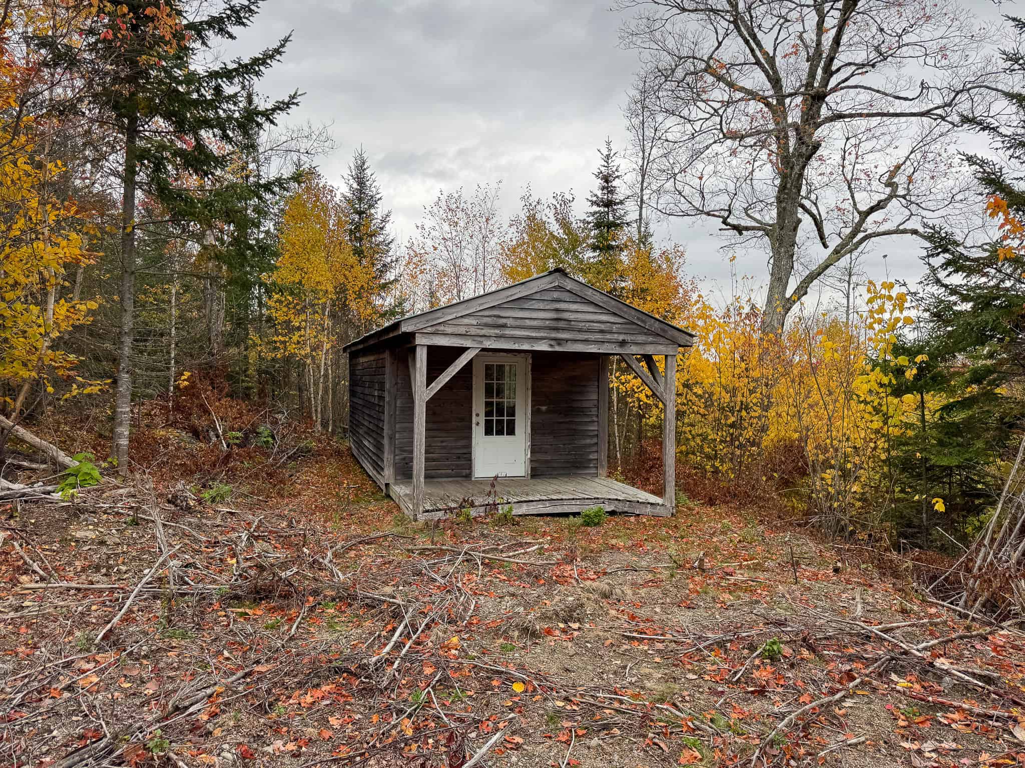 80± Acres Near the Coast – Pembroke, Maine