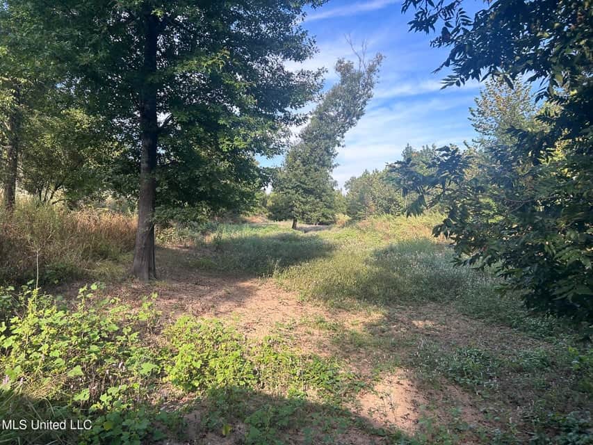 Yazoo River Hunting Tract 78.16 Acres