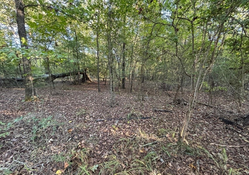 28 Acres for Sale South Jackson, Hinds County, MS