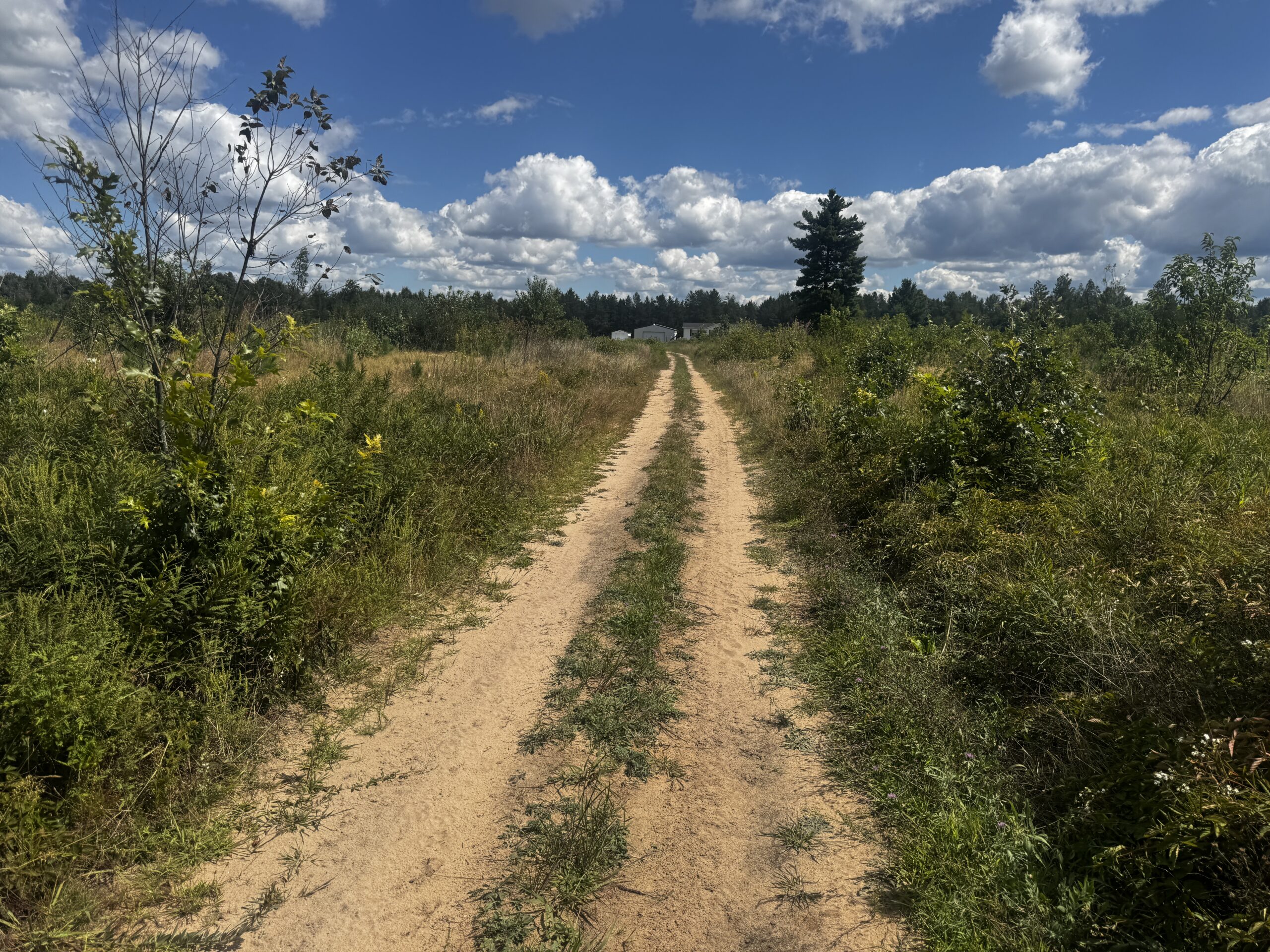 80-acre parcel in the Town of Big Flats
