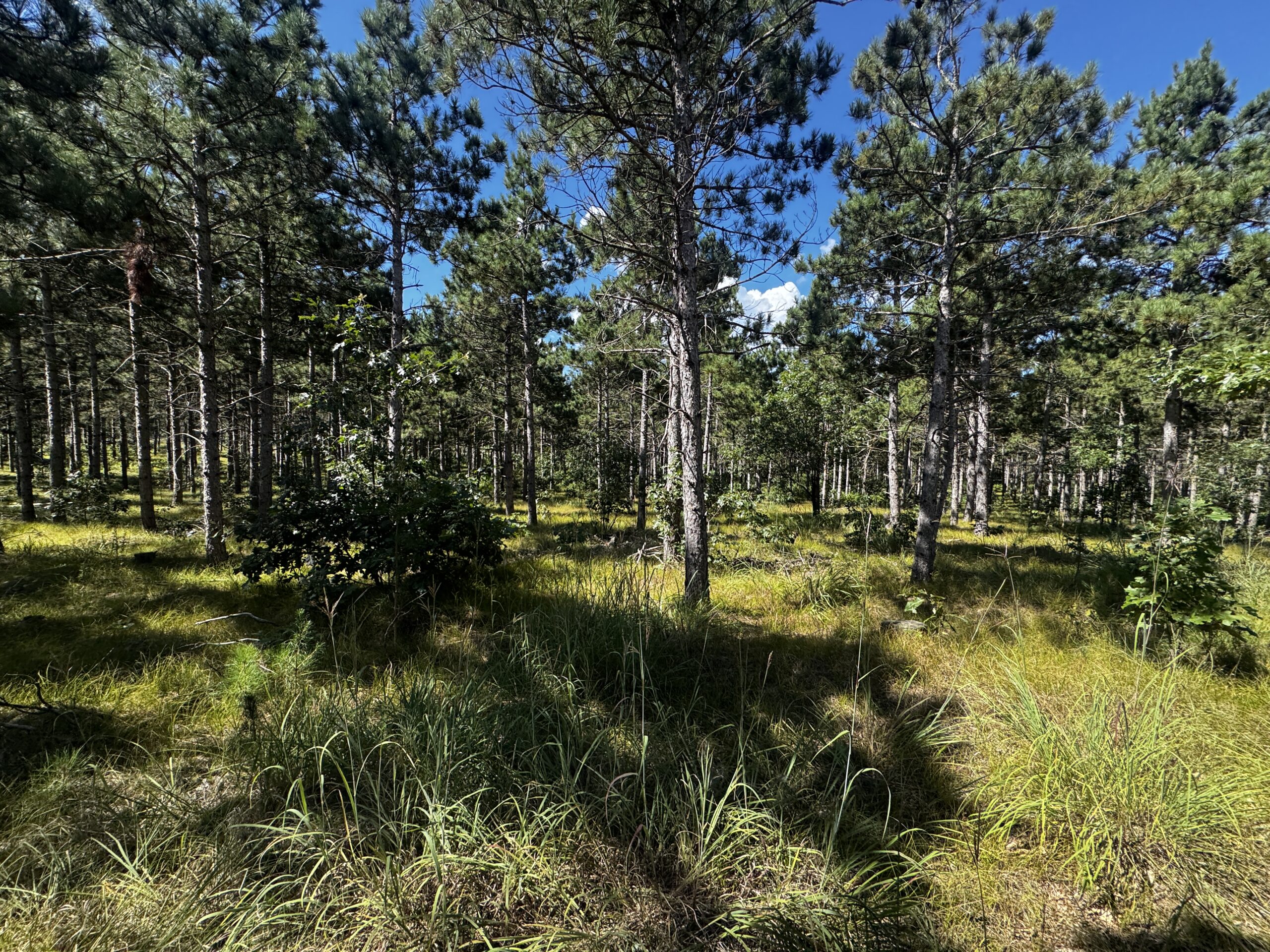 37.77-acre wooded parcel in the Town of Rome