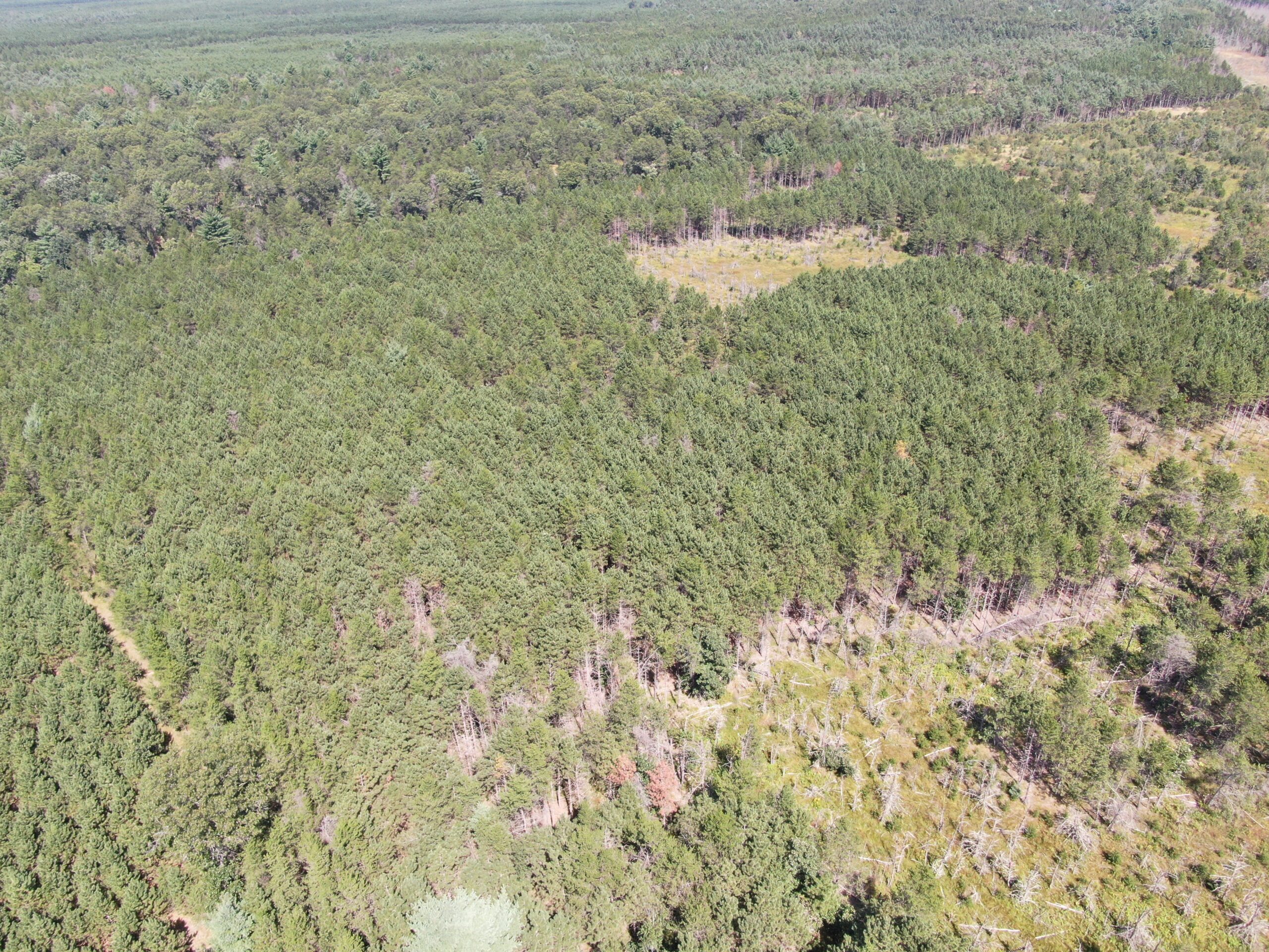 40 acres of recreational land in the Town of Monroe, Adams County