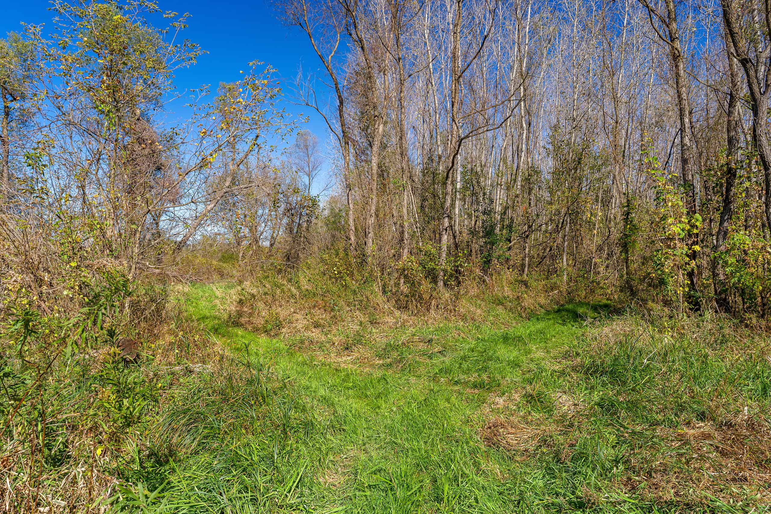 Trempealeau County Riverfront Hunting Land for Sale