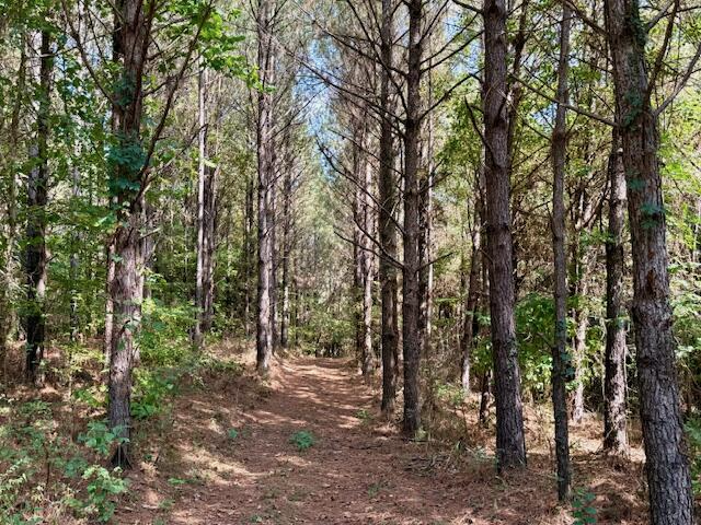 Mississippi Land For Sale With A Creek