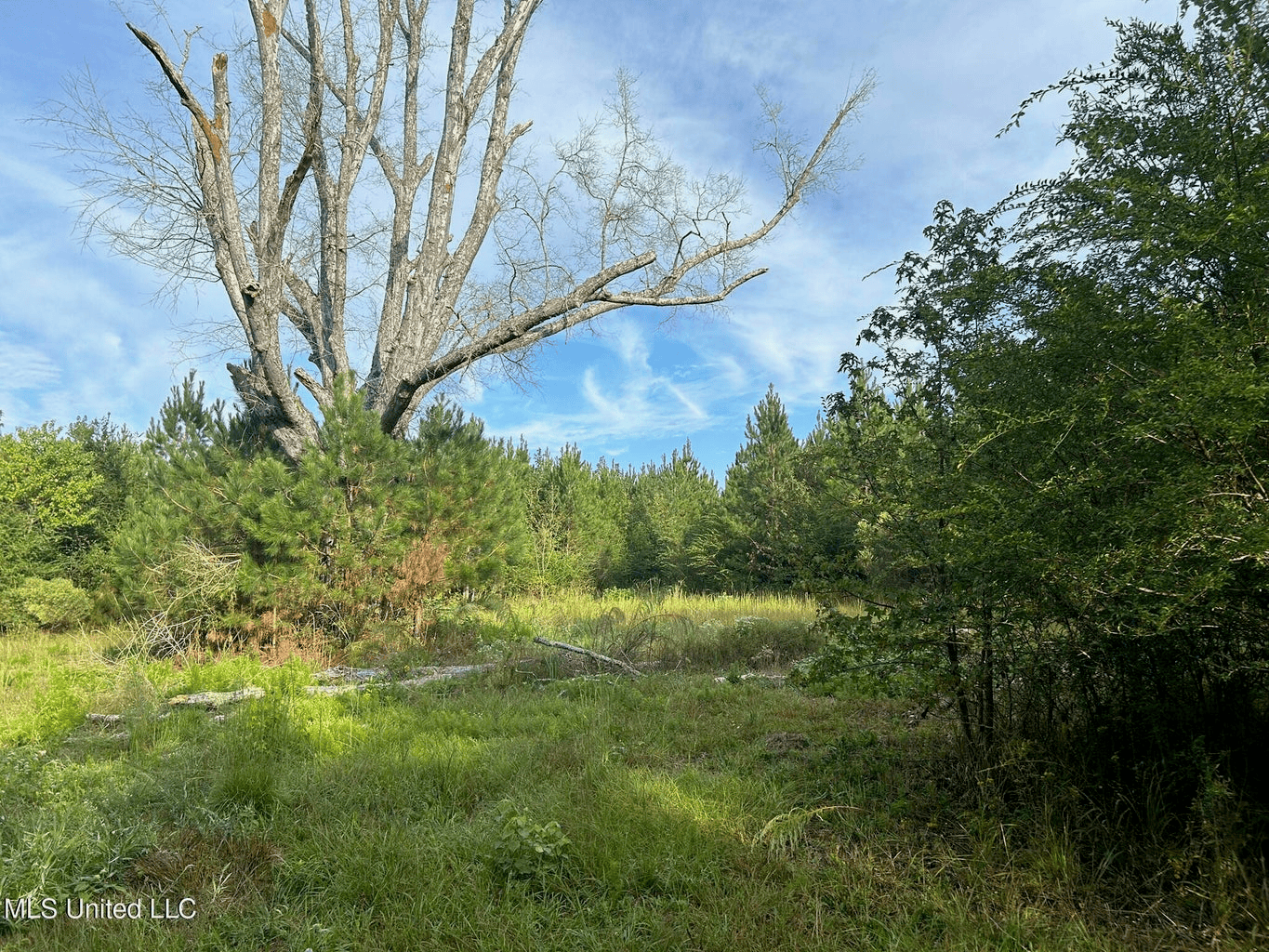 11.5+- Acres North Pike School District