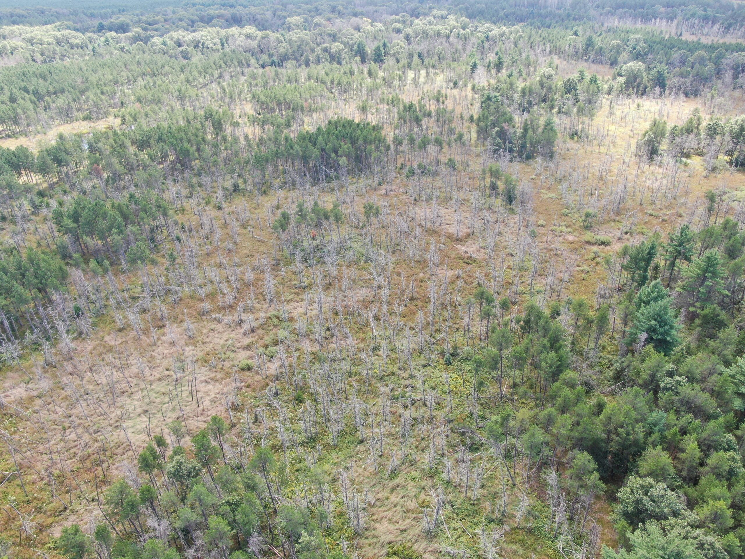 40-acre corner parcel in the Town of Monroe