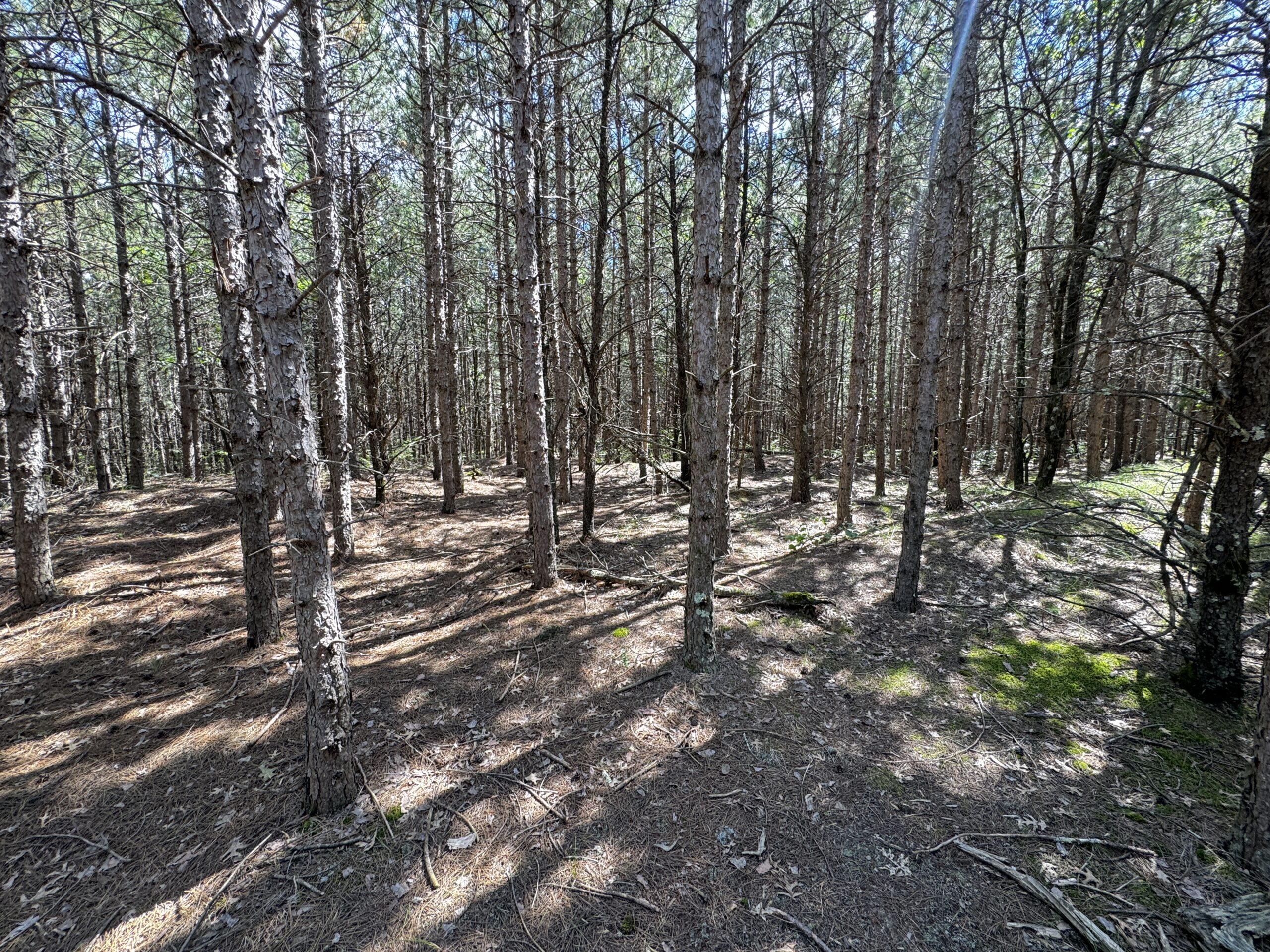 40-acre corner parcel in the Town of Big Flats, Adams County