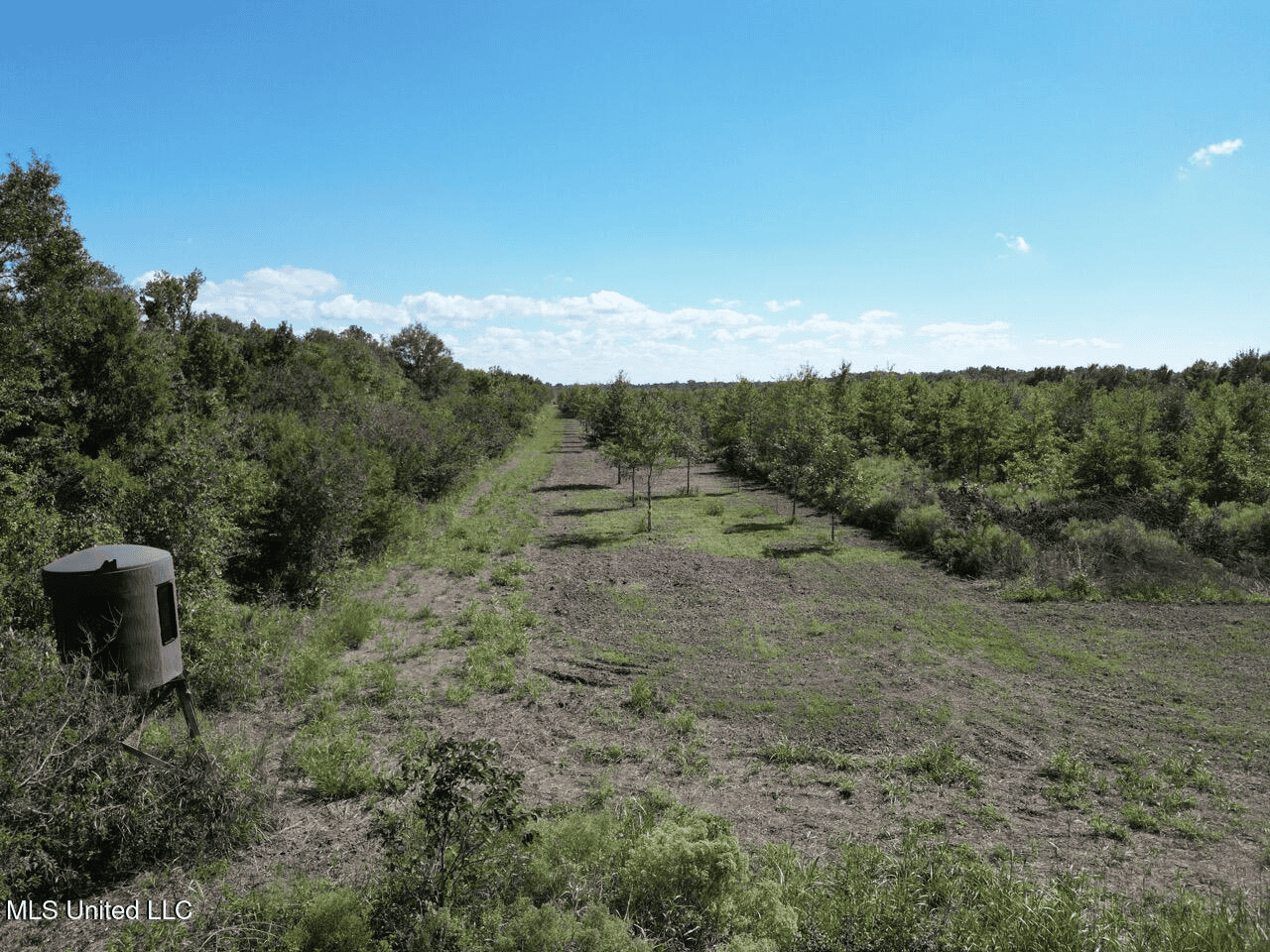 Tensas Parish Land Near Lake St. John – 80 Acres