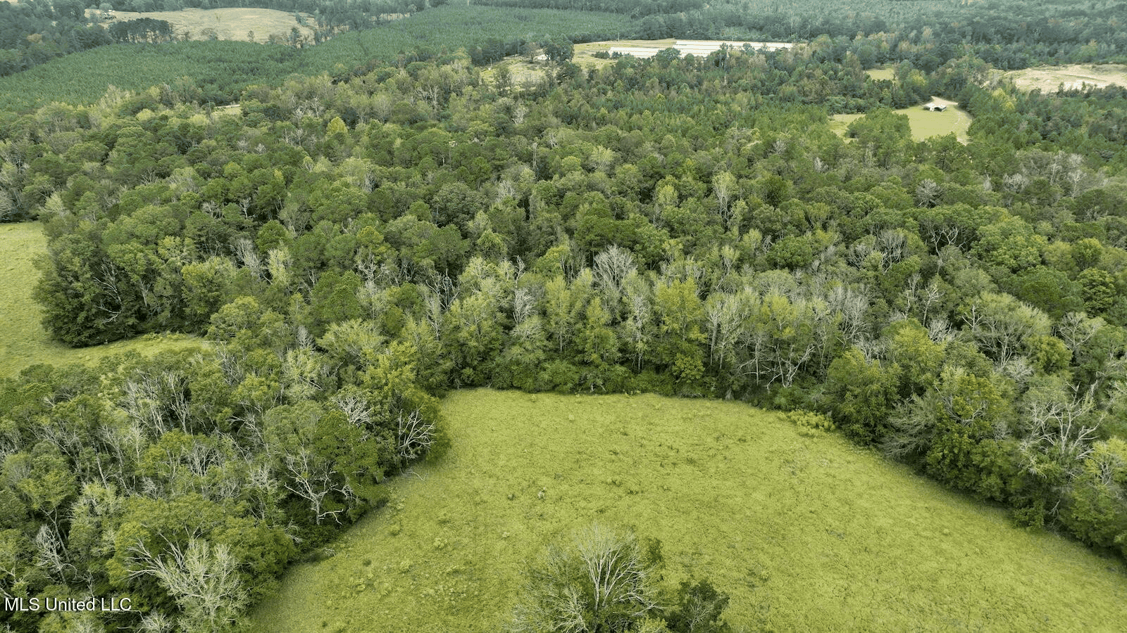 Prentiss MS Pasture Land for sale