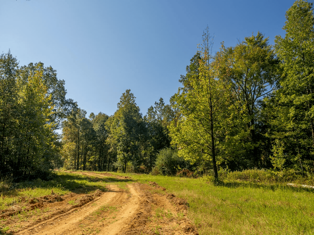 650 Acres Timberland and Lake Site Calhoun County MS
