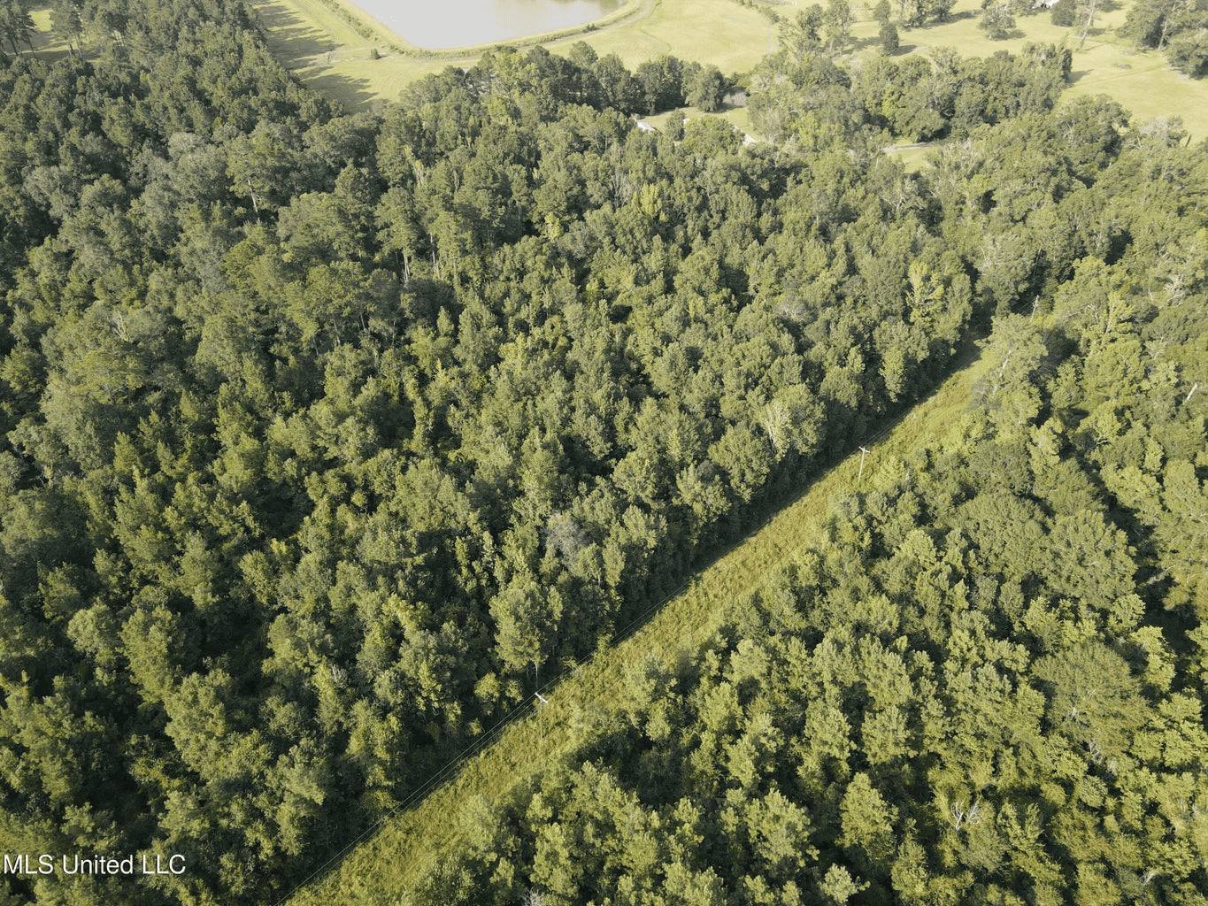 48 Acres for Sale in Jones County, MS Ellisvillle, MS