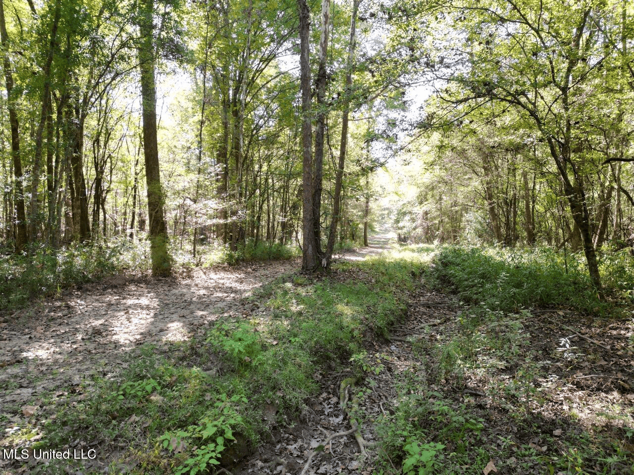 Hunting Land in Claiborne County, MS – The Sawmill 98