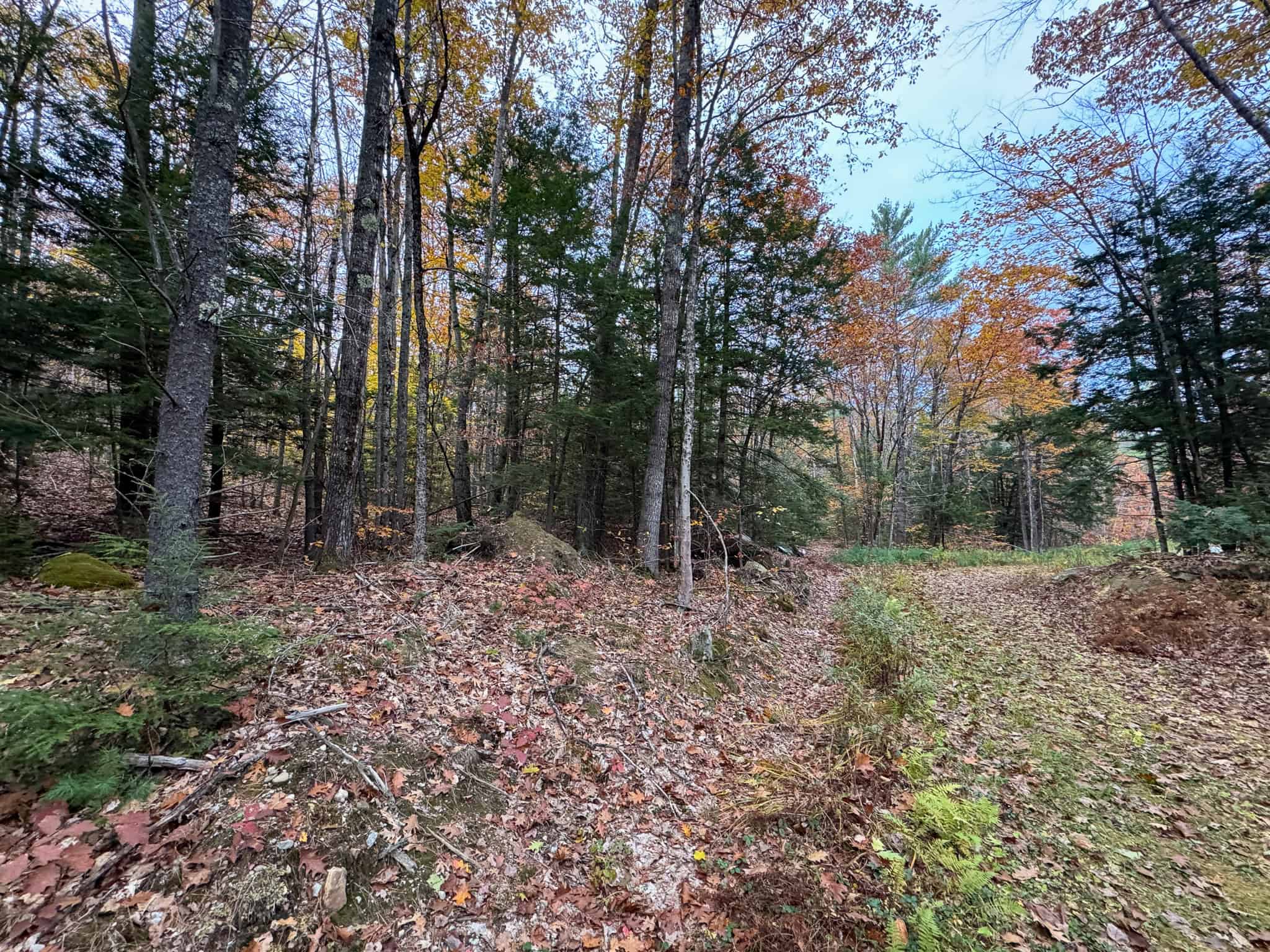 10 Acre Acreage on Quiet Dead End Road
