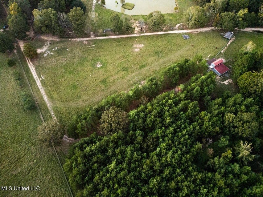 Magnolia Wilds – Premier Louisiana Investment Property for Sale