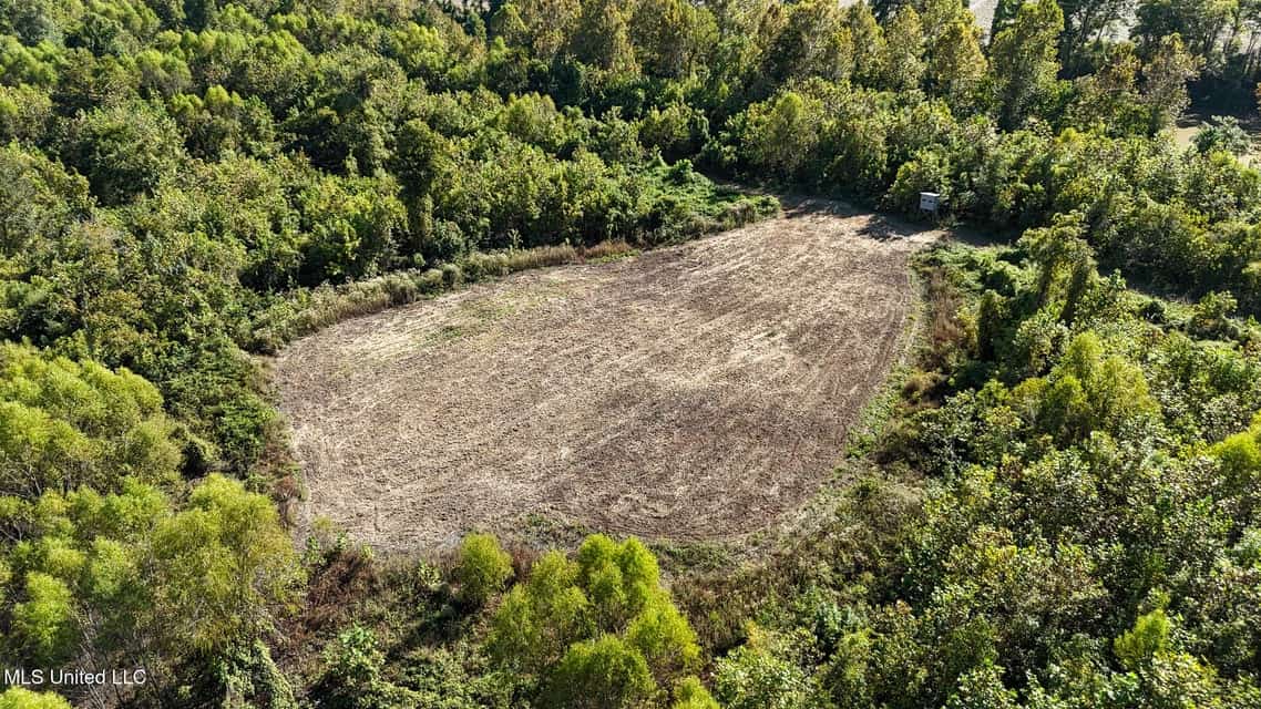 Yazoo River Hunting Tract 78.16 Acres